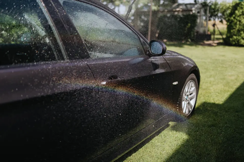 Black Car on Green Grass Field